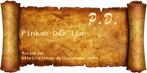 Pinkas Délia névjegykártya
