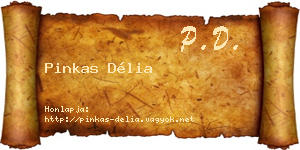 Pinkas Délia névjegykártya